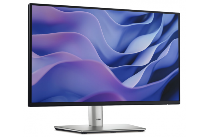 Dell Monitor Pro Plus P2225H - 22 pulgadas 1920 x 1080 VGA HDMI Display Port